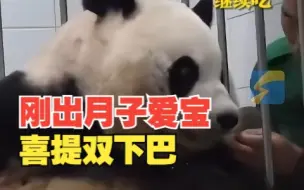 双胞胎熊猫宝宝满月了 刚出月子的爱宝喜提双下巴