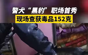 警犬“黑豹”职场首秀 现场查获毒品152克