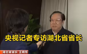 总台央视记者专访湖北省省长