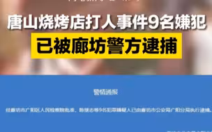 唐山烧烤店打人事件9名嫌犯已被廊坊警方逮捕
