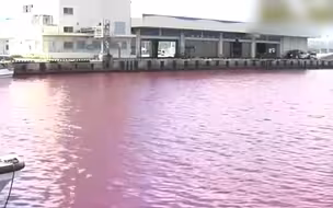 日本一酒厂冷却水泄漏 致周边海水被染红