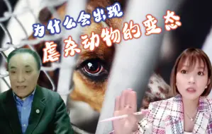 专家：许多虐待动物者，会从网络获得支持快感
