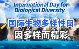 国际生物多样性日：因多样而精彩