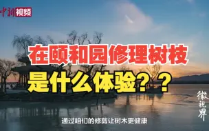 在颐和园修里修理树枝是什么体验？网友：理想工作！