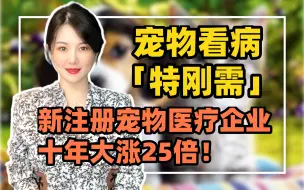 【唐宁】宠物看病“特刚需” 新注册宠物医疗企业十年大涨25倍！