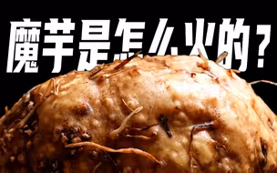 互联网+农业，魔芋产业正迎来春天