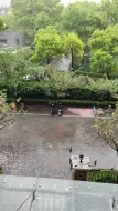 下水道葬花。
