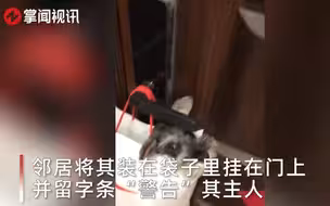 笑cry！狗狗偷偷去找邻居家的小狗约会，被拎出来挂门上贴条警告