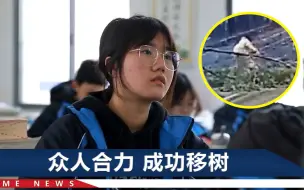 风雪天大树倒在路上，高三女生想把大树移走，“吧唧”摔个屁股墩