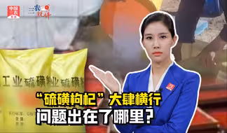 三农锐评丨“硫磺枸杞”大肆横行，问题出在了哪里？