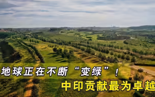 地球正在不断“变绿”！中印贡献最为卓越，但专家却十分担忧印度