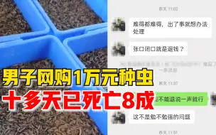 男子网购1万元种虫十多天死8成：对方承诺的培训老师至今未见
