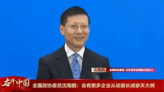 全国政协委员沈南鹏：会有更多企业从幼苗长成参天大树