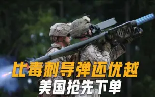 美国抢先下单！“闪电”防空导弹一战成名，造价便宜性能优于毒刺