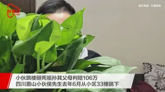 小伙跳楼砸死祖孙其父母判赔106万