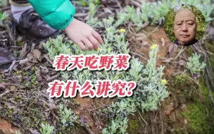 春天吃野菜有什么讲究？