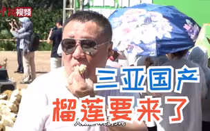 期待！三亚国产榴莲要来了
