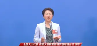 侯蓉：成都基地大熊猫数量近30年增长12倍