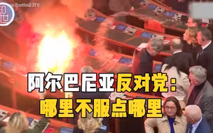 阿尔巴尼亚反对党点燃烟雾弹抗议 造成议会“小型火灾“