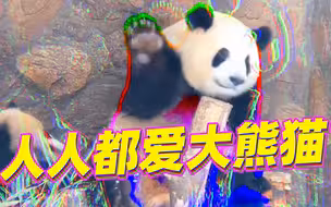 《 快 乐 熊 猫 图 鉴 》