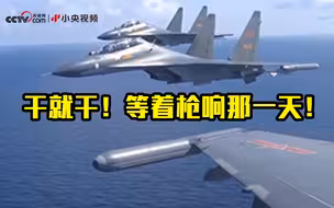 中国空军飞行员：如果开干我就干！就等着枪响那一天！