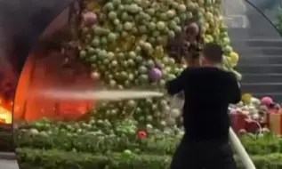 退役不变英雄本色！圣诞树起火退役消防员1分钟灭火