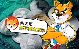 币圈被“狗头”刷屏 狗狗币“杀手”柴犬币一天暴涨236%！丨C位
