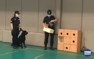 北京市公安局警犬技术大练兵