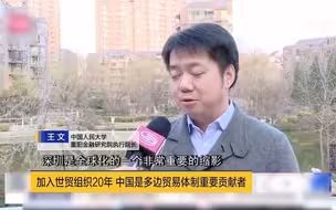 王文：入世20年中国拥抱全球化 中美防疫合作空间在加大