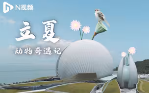 【立夏】奇遇记，“长大”后的动物们在城市欢聚，生机勃勃开启新季节