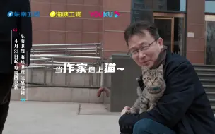 当作家遇上猫