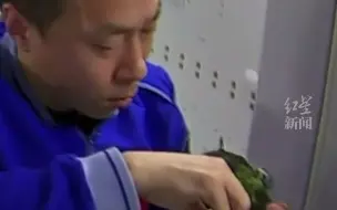 原来在太空是这样种菜的，治愈感满满！