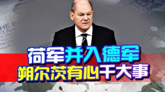 荷兰与德国联手干了一件大事，两种猜测，朔尔茨很有想法