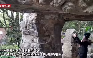冷冷冷！魔都结冰了