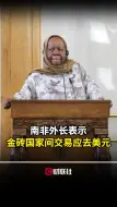 南非外长表示金砖国家间交易应去美元