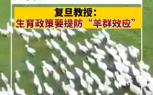 复旦教授：生育政策要提防“羊群效应”