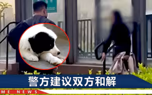 小狗吓哭1岁小孩被家长摔死，狗主人崩溃哭喊后，将“孩子”火化