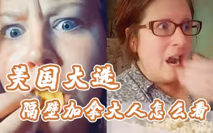 美国大选如火如荼 隔壁的加拿大人怎么看