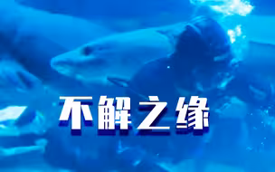 每天陪游两个多小时！探秘中华鲟与北京海洋馆的不解之缘
