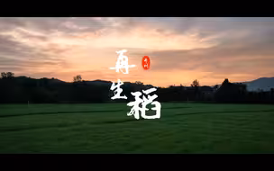 饭碗里的“开州再生稻”，润泽乡村，香飘中国