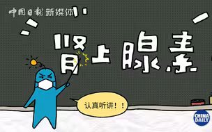 你知道肾上腺素狂飙背后的秘密么？