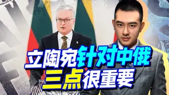 “弹丸小国”立陶宛，为何甘当美欧爪牙反俄反华？三点说明了一切