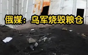 俄媒：乌军撤离期间 烧毁马里乌波尔港口粮仓