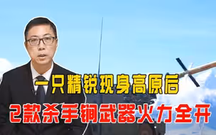 一只精锐现身高原后，2款杀手锏武器火力全开，军方已不再警告