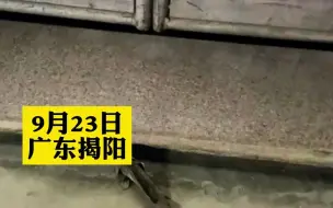 男子家门口发现“不用水的鱼”，浑身是土活蹦乱跳，你知道这是什么鱼吗？