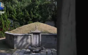 韩松落拜谒李白墓：你以各种方式“活”了一次又一次