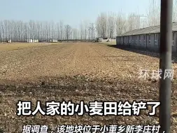 “河南一村庄20亩麦苗被铲除”？当地回应：正在开展土地治理，相关人员已被停职