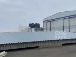 阿塞拜疆航空公司一客机坠毁发现6名乘客生还 坠毁原因可能是与鸟群相撞