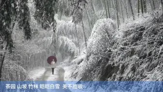 初雪过后，象山人朋友圈开启“晒雪”模式……