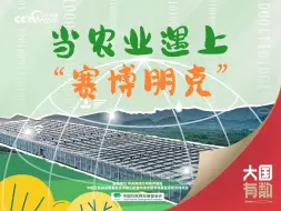 《大国有数｜春耕时节话农桑》